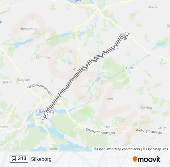 313 Bus Line Map