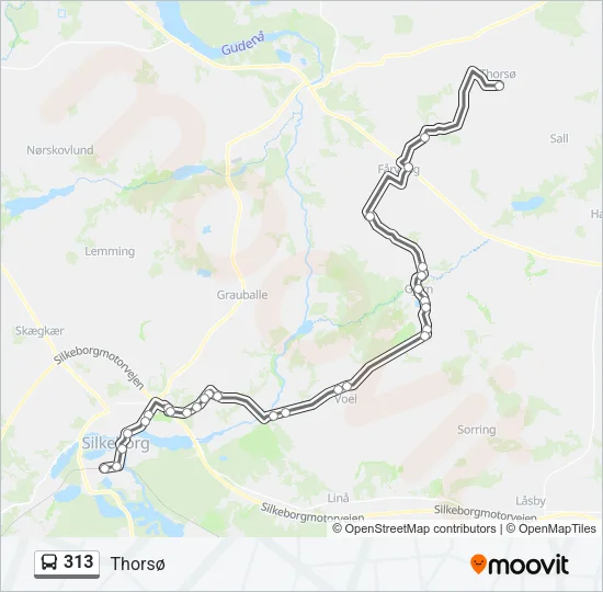 313 Bus Line Map