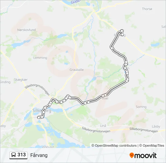 313 Bus Line Map