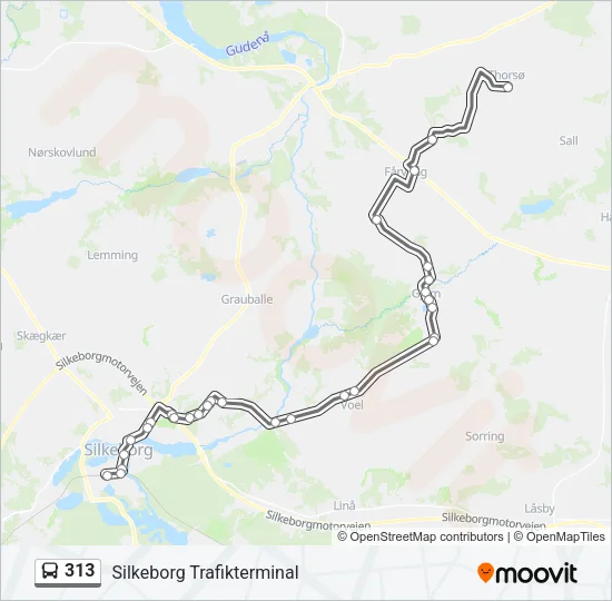 313 Bus Line Map
