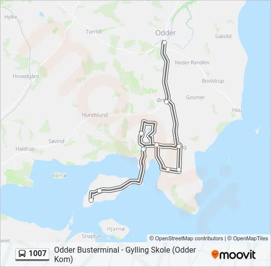 1007 Bus Line Map