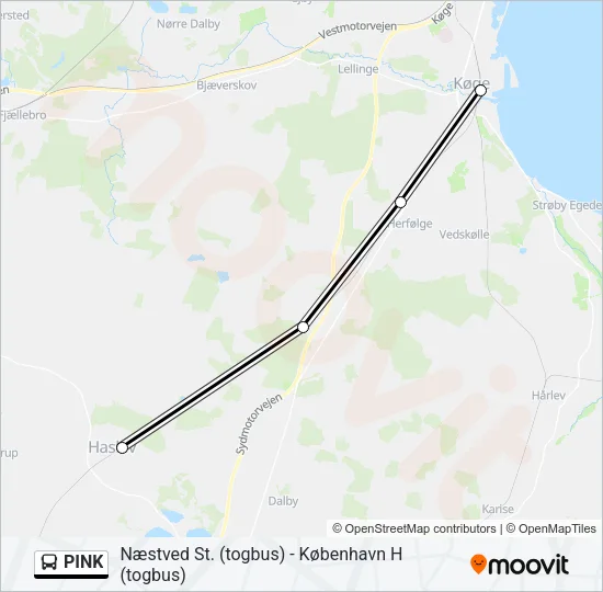 PINK Bus Line Map