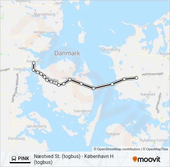 PINK Bus Line Map