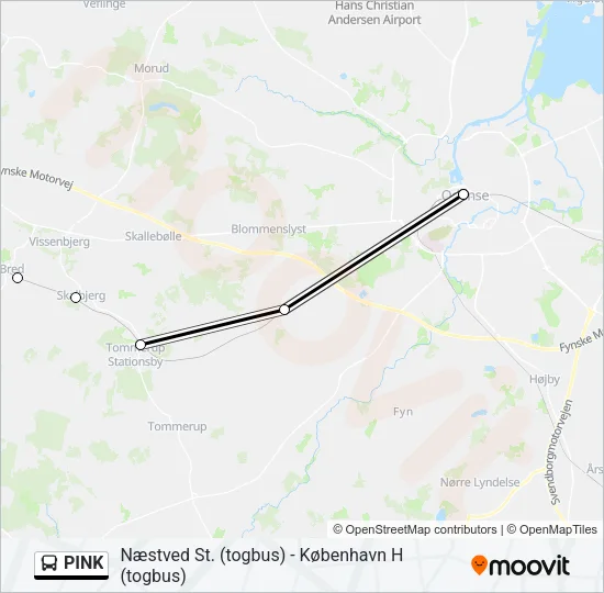 PINK Bus Line Map