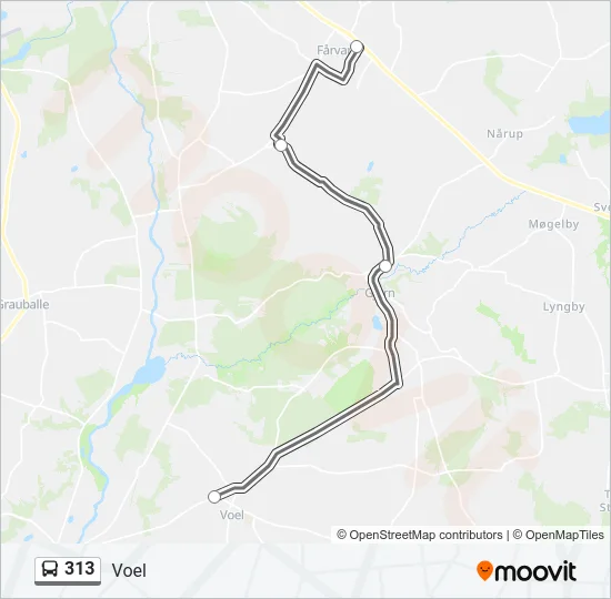 313 Bus Line Map
