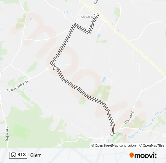 313 Bus Line Map