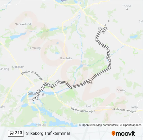 313 Bus Line Map
