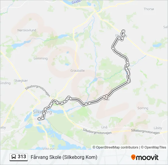313 Bus Line Map
