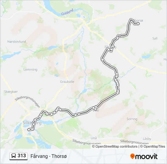 313 Bus Line Map