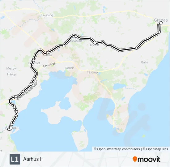 L1 Light Rail Line Map