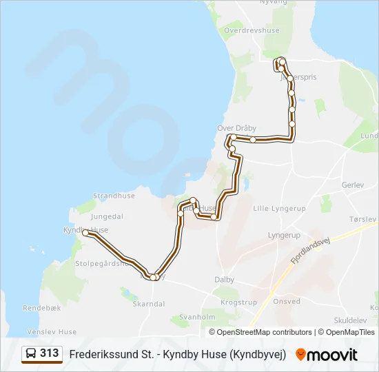 313 Bus Line Map