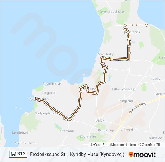 313 bus Line Map
