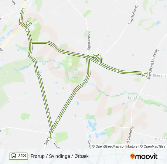 713 Bus Line Map