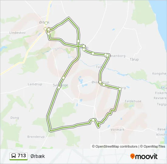 713 Bus Line Map