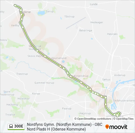 300E Bus Line Map