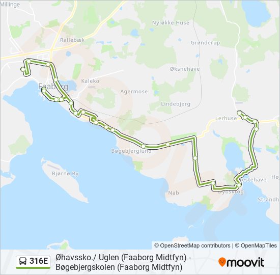 316E bus Line Map