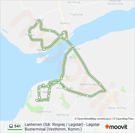 541 Bus Line Map