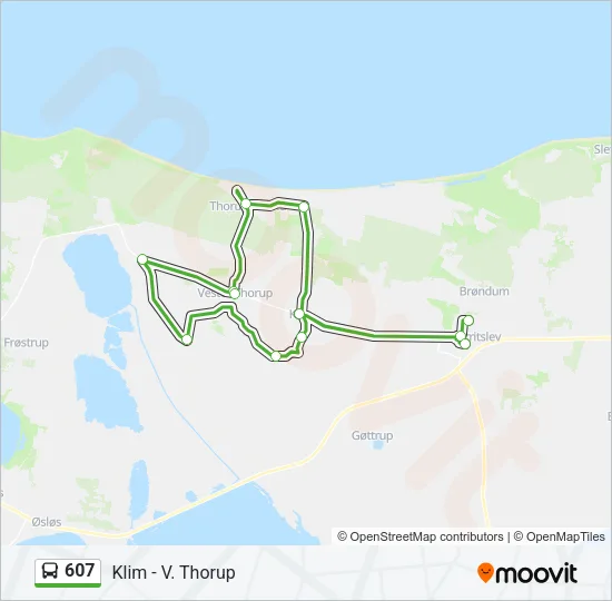 607 Bus Line Map