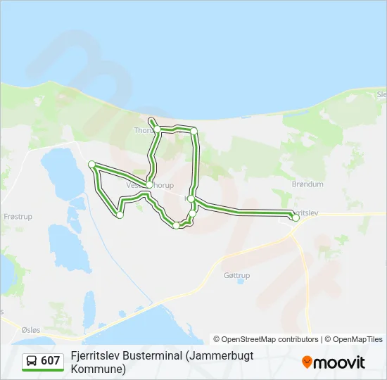 607 Bus Line Map