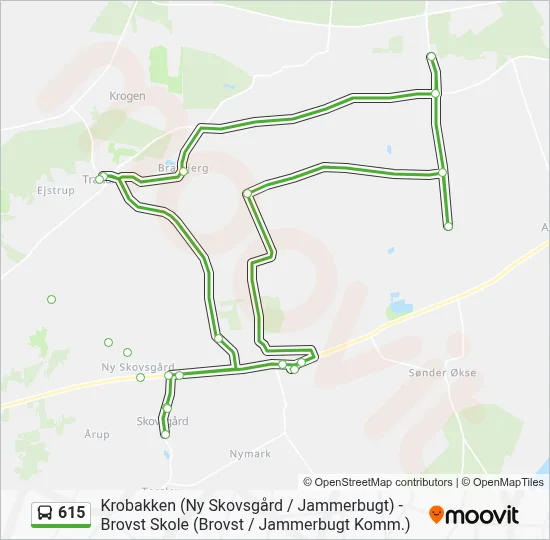 615 bus Linjekort