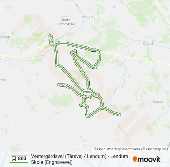 803 Bus Line Map
