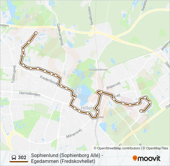 302 Bus Line Map