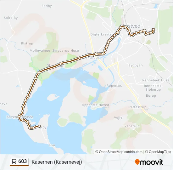 603 Bus Line Map