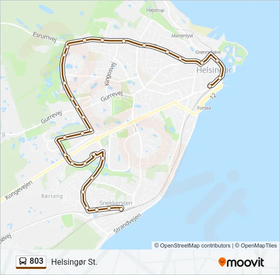 803 Bus Line Map