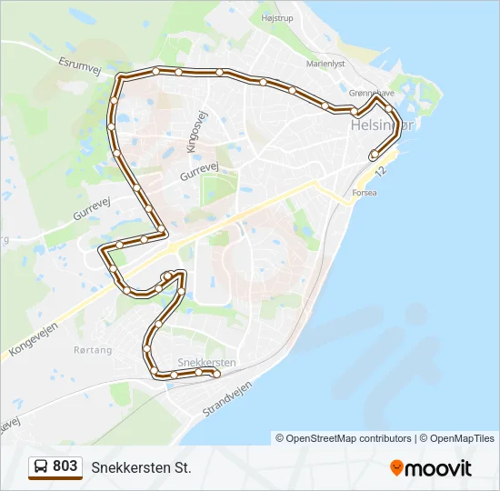 803 Bus Line Map