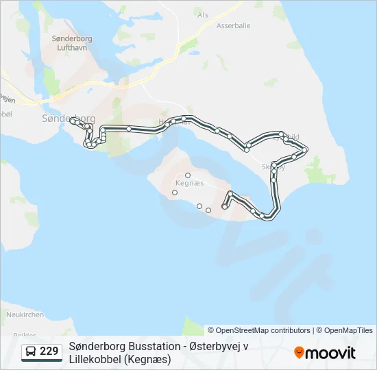 229 Bus Line Map