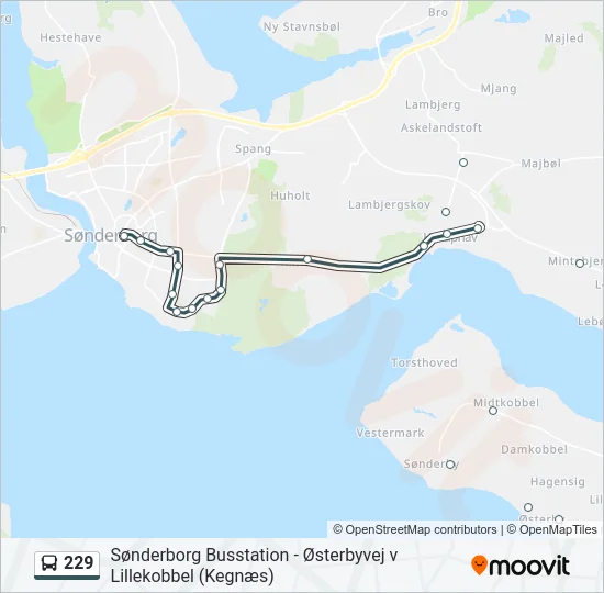 229 Bus Line Map