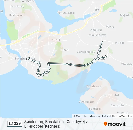 229 Bus Line Map