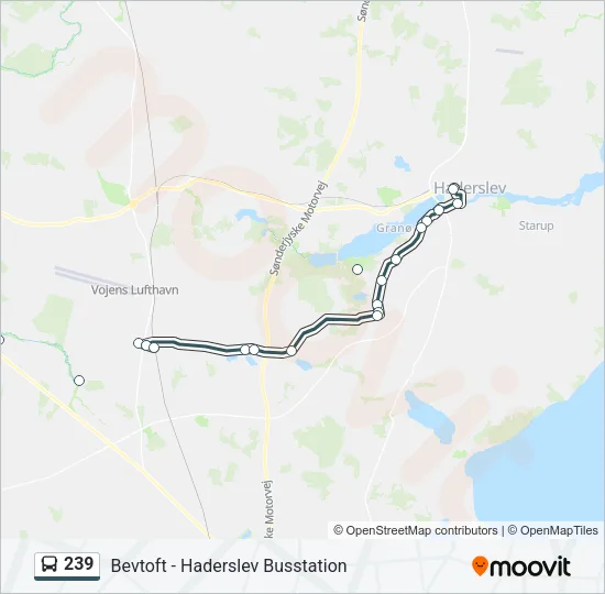 239 Bus Line Map