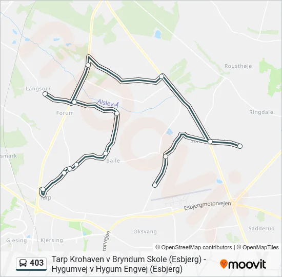 403 bus Linjekort