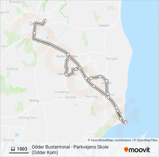 1003 Bus Line Map