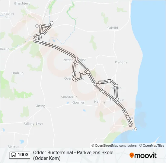 1003 Bus Line Map
