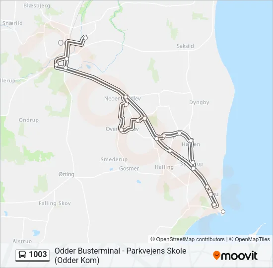 1003 Bus Line Map