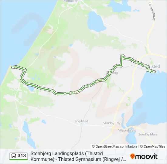 313 Bus Line Map