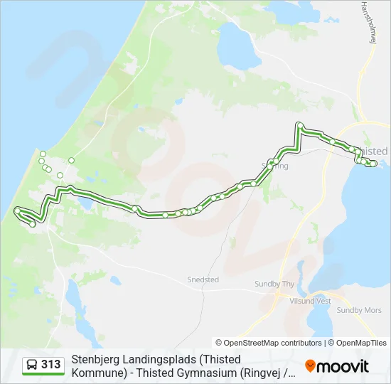 313 Bus Line Map