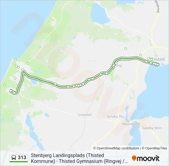 313 Bus Line Map