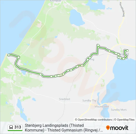 313 Bus Line Map