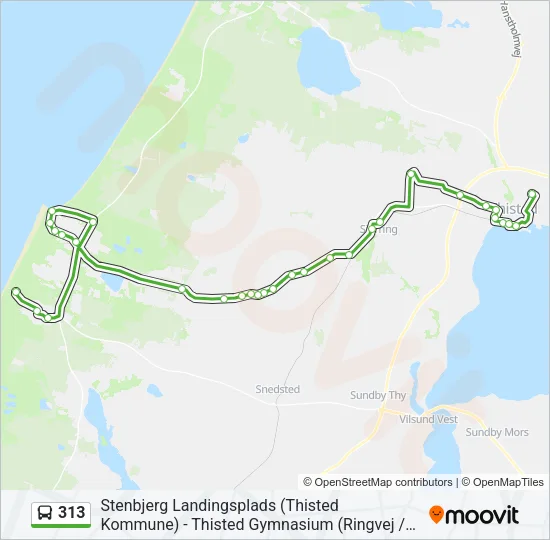 313 Bus Line Map