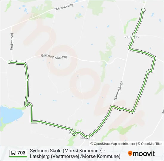 703 Bus Line Map