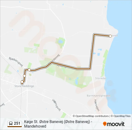 251 Bus Line Map