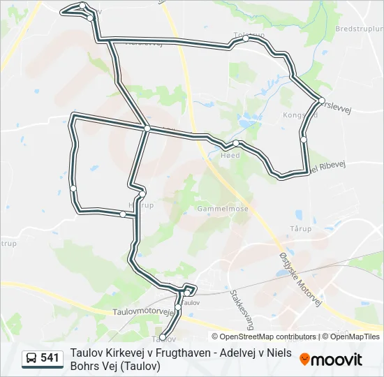 541 Bus Line Map
