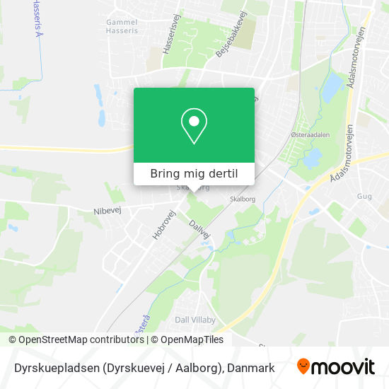 Dyrskuepladsen (Dyrskuevej / Aalborg) kort