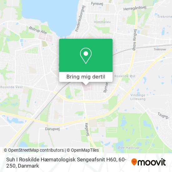Suh I Roskilde Hæmatologisk Sengeafsnit H60, 60-250 kort