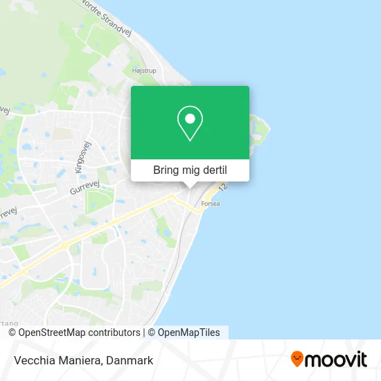 Vecchia Maniera kort