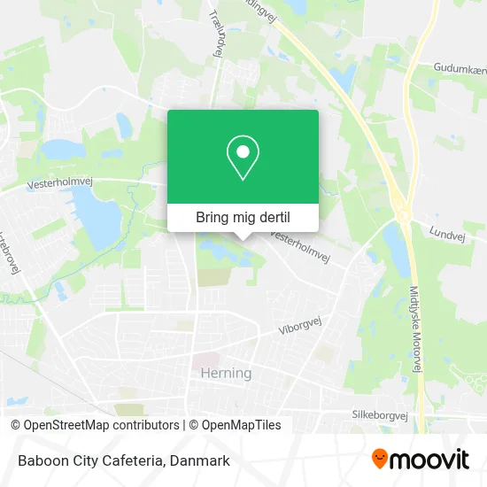 Baboon City Cafeteria kort