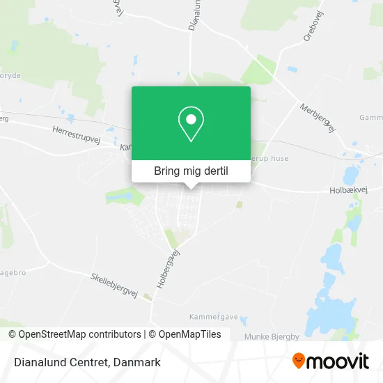 Dianalund Centret kort